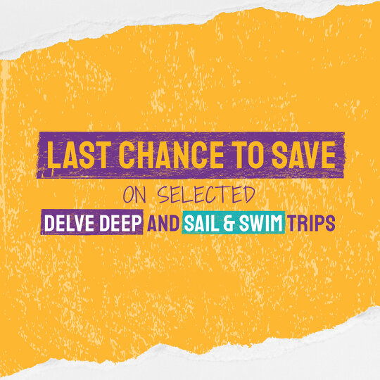 delve deep and sail and Swim Offers